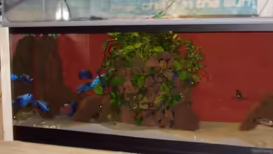 Becken 563 von Mark Mondl