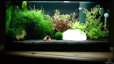 Becken 5639 von Oliver Steinmetz