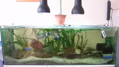 Becken 5662 von Patrick Kowalski