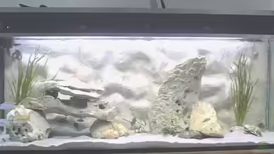 Becken 567 von Bernd Galler