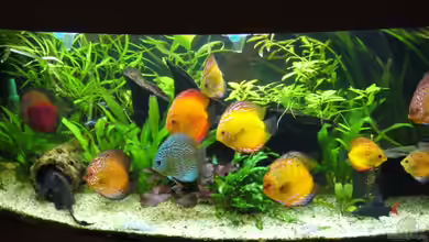 Becken 5673 von Stefan Kohlschmidt