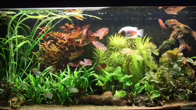 Becken 5677 von Wolfgang Röhken