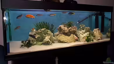 Becken 57 von Frank Georges