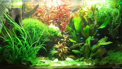 Becken 5752 von Steffen L.