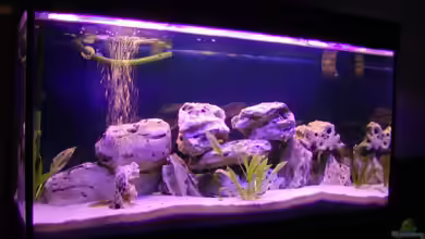 Becken 5780 von Stefan Danner