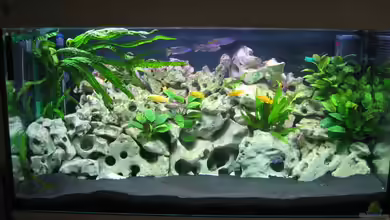 Becken 5784 von Qthree