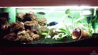 Becken 579 von Nicolay Brätter