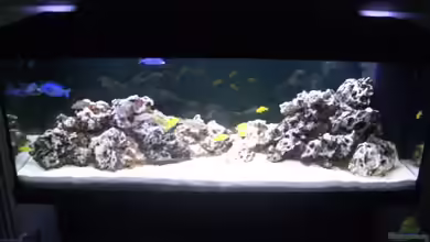 Becken 5801 von Claudio Müller