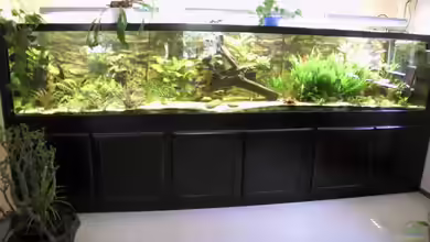 Becken 5816 von Michael Schilling