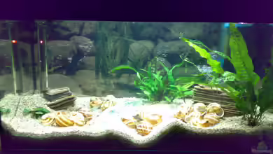 Becken 5850 von Carsten Stange