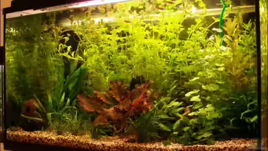 Becken 5876 von Felix Bier