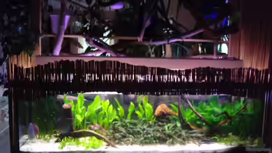 Becken 5883 von Peggy Findeisen