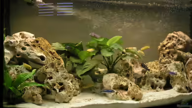 Becken 594 von Jens Heider