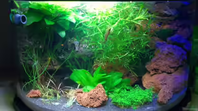 Becken 5964 von Harry Otterbach