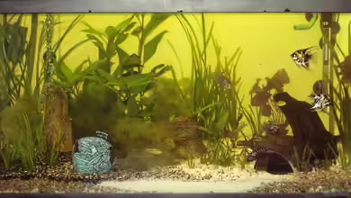 Becken 5970 von Steffi Reeh