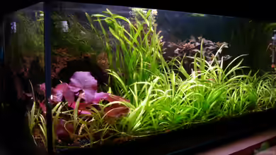 Becken 5971 von Sabrina Schäfer