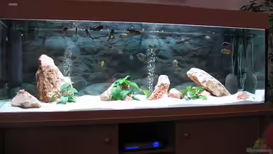 Becken 5987 von Andreas Meudt