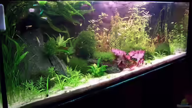 Becken 6020 von Michael Hellberg