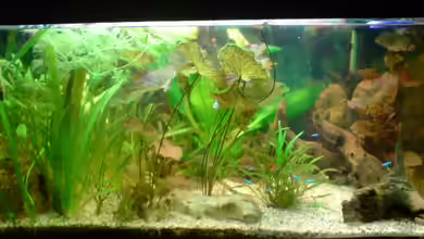 Becken 6061 von Tobias Bäckermann