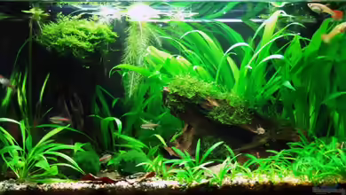 Becken 6118 von Steffen Salzmann