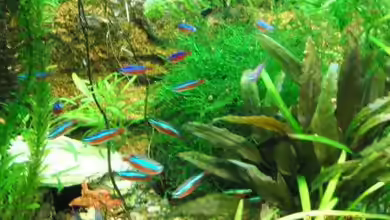 Becken 6146 von Reimund Wessel