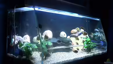 Becken 615 von Dominic Moritz