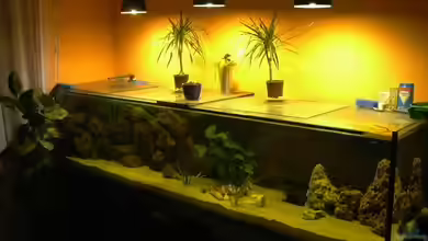 Becken 619 von Thomas Kowollik