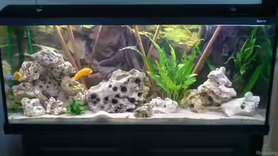 Becken 6228 von Alihsan Boeklers