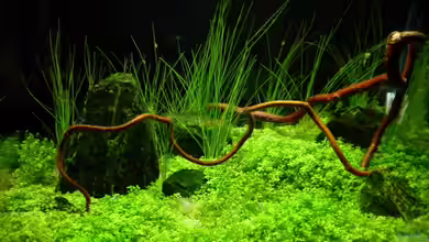 Becken 6231 von Marc Joist