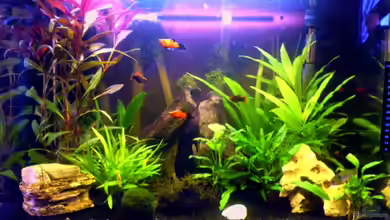 Becken 6233 von Cathrin Krause