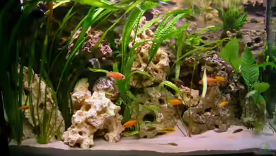 Becken 6244 von Oliver Rädel