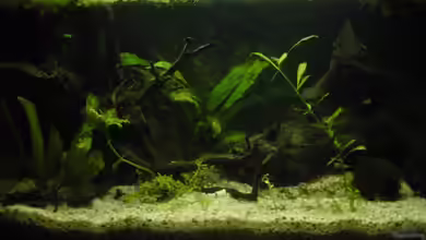 Becken 6281 von Philipp Schmitt