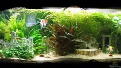 Becken 6316 von Beat Affolter