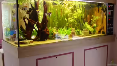 Becken 6390 von Ralf Brücher