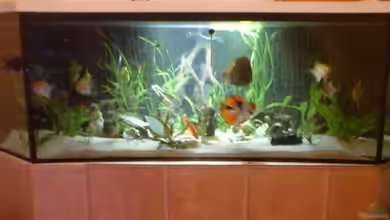 Becken 6395 von Michael Seidel