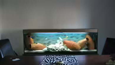 Becken 64 von Caroline Palgen