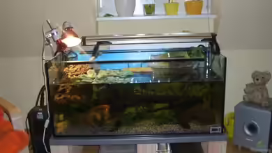 Becken 6468 von Marco Röhrig