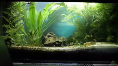 Becken 6471 von Ken M.