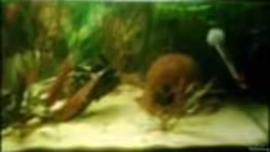 Becken 6477 von Christina Müller