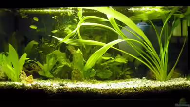 Becken 6528 von Lena Sebastian