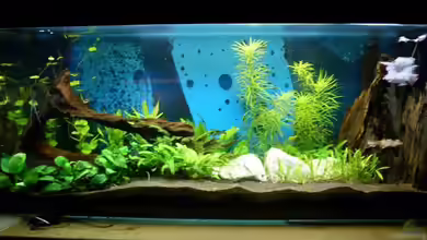 Becken 6541 von Sascha Nagy