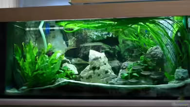 Becken 664 von Christoph Klaus