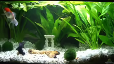 Becken 6706 von Andreas Sauer