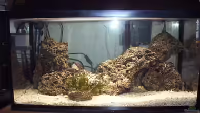 Becken 6753 von Reinhold Graßer