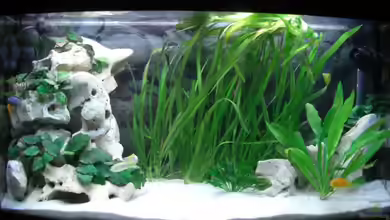 Becken 6807 von Florian Glaser