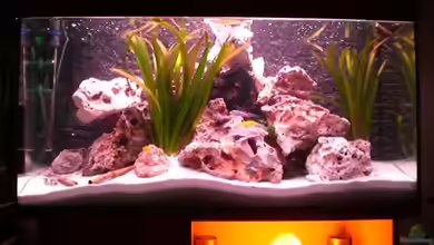 Becken 6885 von Sven Seidel