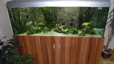 Becken 6888 von Oliver Hofherr