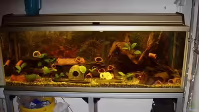 Becken 694 von Gregor Spiller