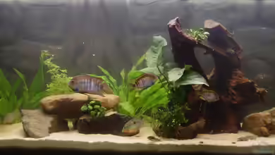 Becken 6958 von Sören Paul