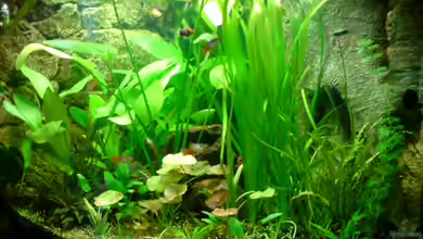 Becken 6962 von Sebastian Jänsch